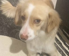 Ekran-Resmi-2026-01-19-20.51.02