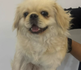 Ekran-Resmi-2026-01-19-20.53.47