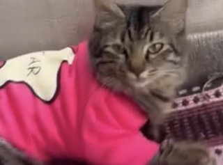 Ekran-Resmi-2026-01-19-20.57.24