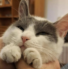 Ekran-Resmi-2026-01-19-21.08.31