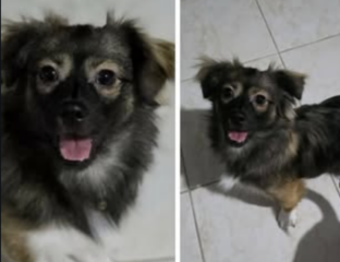 Ekran-Resmi-2026-01-19-21.09.59