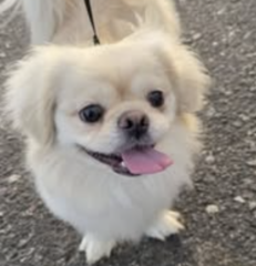 Ekran-Resmi-2026-01-19-21.15.30