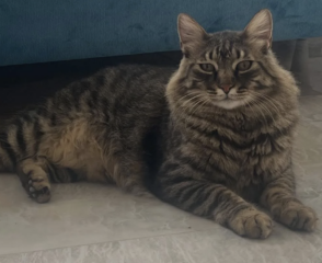 Ekran-Resmi-2026-01-19-21.17.43