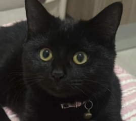 Ekran-Resmi-2026-01-19-21.22.07