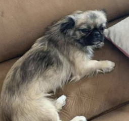 Ekran-Resmi-2026-01-19-21.32.22