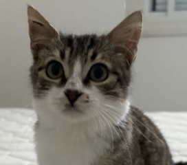 Ekran-Resmi-2026-01-19-21.33.50