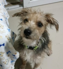 Ekran-Resmi-2026-01-19-21.47.27