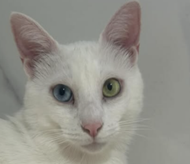 Ekran-Resmi-2026-01-19-21.49.53