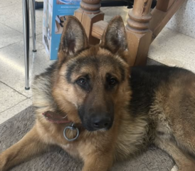 Ekran-Resmi-2026-01-19-21.54.21