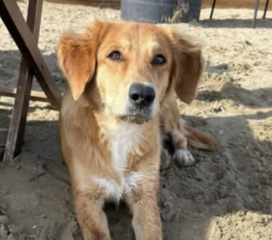 Ekran-Resmi-2026-01-19-21.58.02