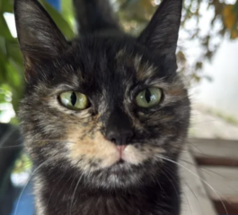 Ekran-Resmi-2026-01-19-22.16.03