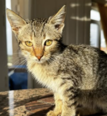 Ekran-Resmi-2026-01-19-22.20.17