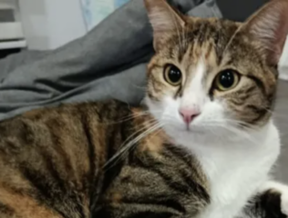 Ekran-Resmi-2026-01-19-22.22.21