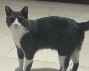 Ekran-Resmi-2026-01-19-22.23.55