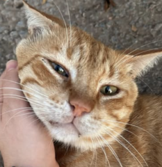 Ekran-Resmi-2026-01-19-22.28.29