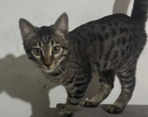 Ekran-Resmi-2026-01-19-22.34.05