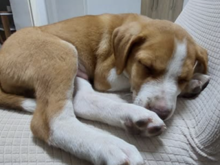 Ekran-Resmi-2026-01-19-22.54.01