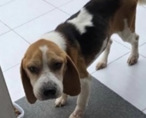 Ekran-Resmi-2026-01-19-23.23.58