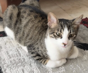 Ekran-Resmi-2026-01-19-23.27.53