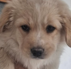 Ekran-Resmi-2026-01-19-23.36.06