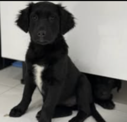 Ekran-Resmi-2026-01-19-23.37.49