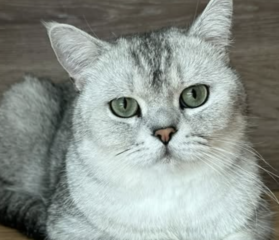 Ekran-Resmi-2026-01-19-23.40.49