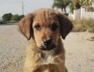 Ekran-Resmi-2026-01-19-23.57.45