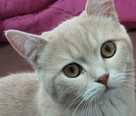 Ekran-Resmi-2026-01-20-10.30.39