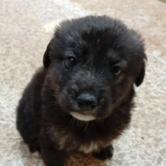 Ekran-Resmi-2026-01-20-10.41.42