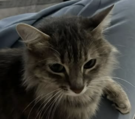 Ekran-Resmi-2026-01-20-10.44.25