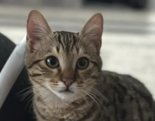 Ekran-Resmi-2026-01-20-10.46.14