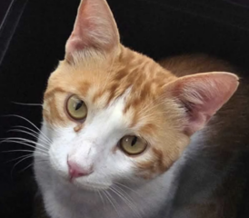 Ekran-Resmi-2026-01-20-10.54.19