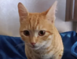 Ekran-Resmi-2026-01-20-11.54.02