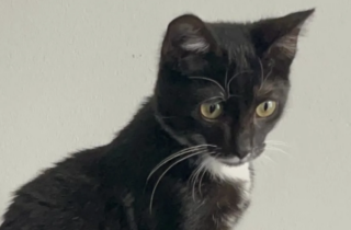 Ekran-Resmi-2026-01-20-12.33.51