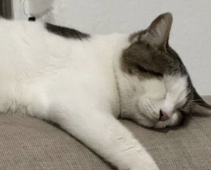 Ekran-Resmi-2026-01-20-12.42.42