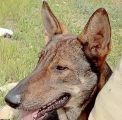 Ekran-Resmi-2026-01-20-12.46.06