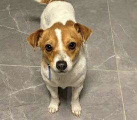 Ekran-Resmi-2026-01-20-13.08.03