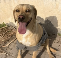 Ekran-Resmi-2026-01-20-13.14.29