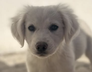 Ekran-Resmi-2026-01-20-13.17.02