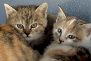 Ekran-Resmi-2026-01-20-13.28.23