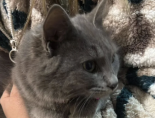 Ekran-Resmi-2026-01-20-13.33.48