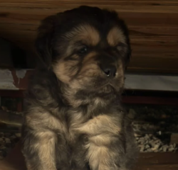 Ekran-Resmi-2026-01-20-13.36.22