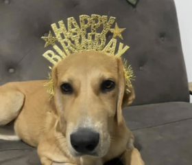 Ekran-Resmi-2026-01-20-13.47.01