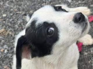 Ekran-Resmi-2026-01-20-13.53.17