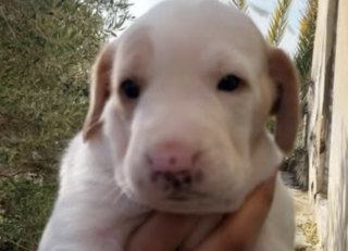 Ekran-Resmi-2026-01-20-13.57.27