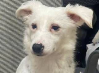 Ekran-Resmi-2026-01-20-14.34.52