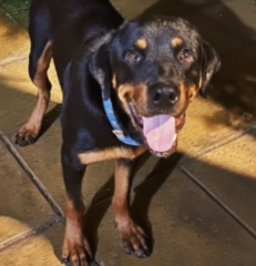 Ekran-Resmi-2026-01-20-14.46.20