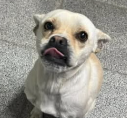 Ekran-Resmi-2026-01-20-14.47.54