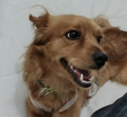 Ekran-Resmi-2026-01-20-14.59.36