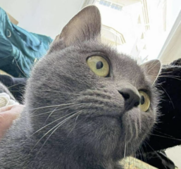 Ekran-Resmi-2026-01-20-15.08.16